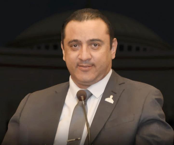 ولاء حافظ 