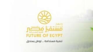 سوبر توفير.. شبكة توزيع تعزز وصول السلع الأساسية للمواطنين وتدعم استقرار الأسواق