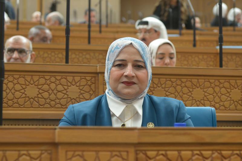النائبة الدكتورة مروة قنصوة: زيارة الرئيس السيسي لكوريا الجنوبية تؤسس لشراكة استراتيجية تنقل العلاقات إلى توطين التكنولوجيا وتعظيم قوة الاقتصاد المصري