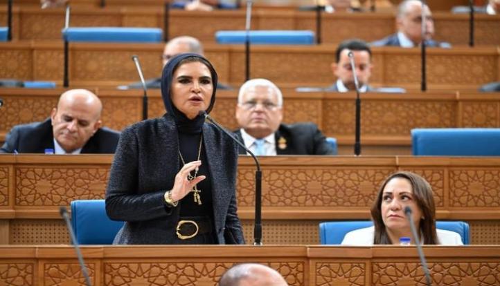 سحر نصر أمام «الشيوخ»: تحقيق الأمن الغذائي مسؤولية مشتركة بين كافة أجهزة الدولة والمواطن