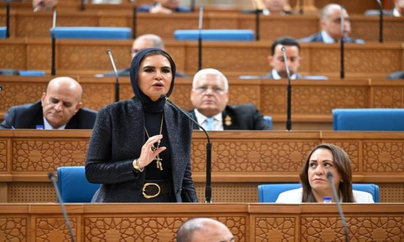 سحر نصر أمام «الشيوخ»: تحقيق الأمن الغذائي مسؤولية مشتركة بين كافة أجهزة الدولة والمواطن