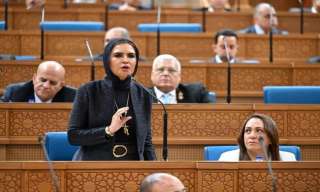 سحر نصر أمام «الشيوخ»: تحقيق الأمن الغذائي مسؤولية مشتركة بين كافة أجهزة... سحر نصر أمام «الشيوخ»: تحقيق الأمن الغذائي مسؤولية مشتركة بين كافة أجهزة الدولة والمواطن