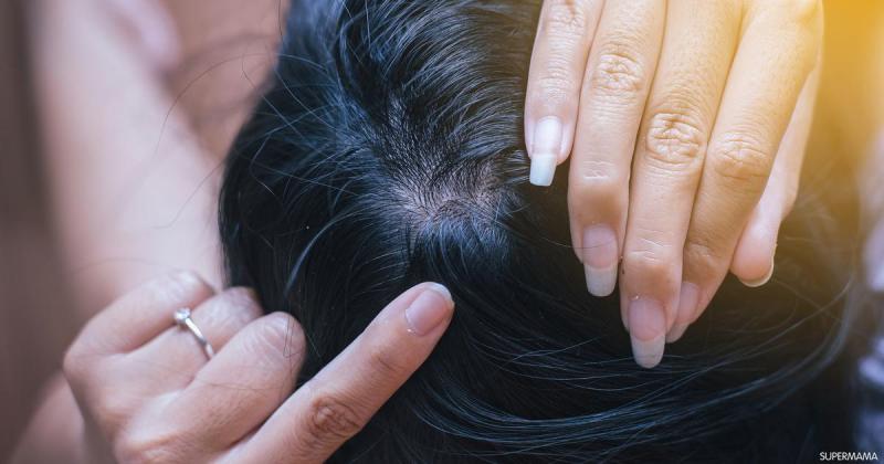 بوابة البرلمان