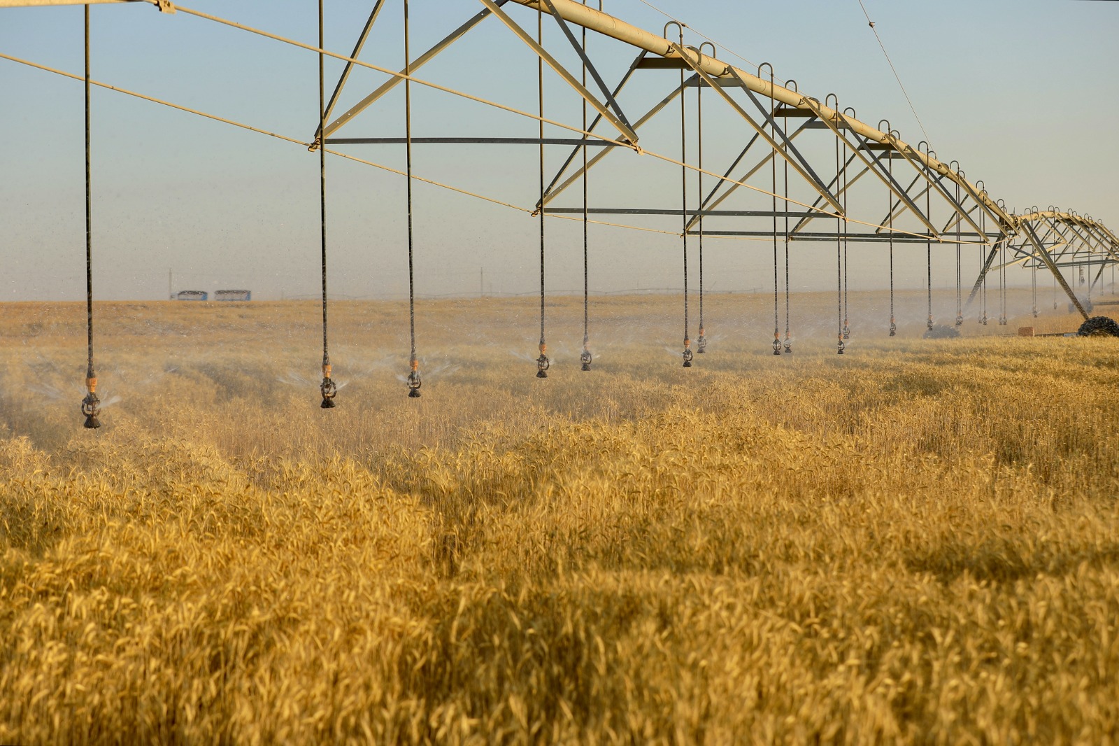 b184f0d86525.jpg