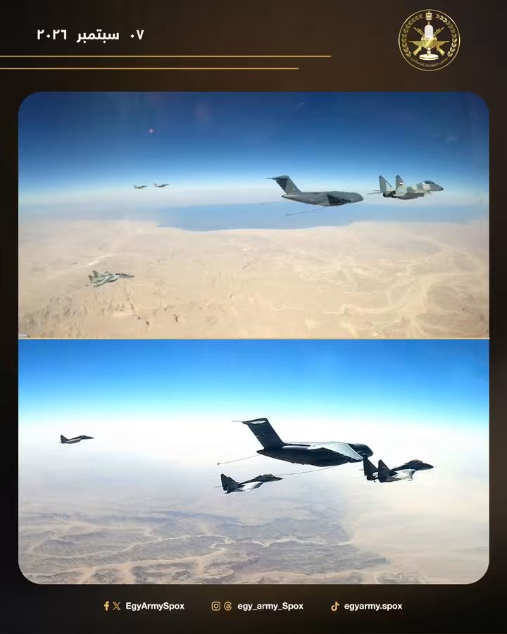 435951416ffe.jpg